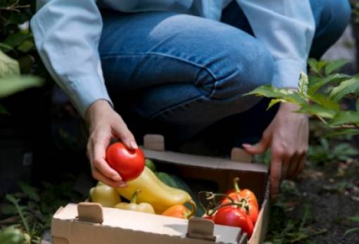 Ιδρύθηκε το Ευρωπαϊκό Συμβούλιο Γεωργίας και Τροφίμων