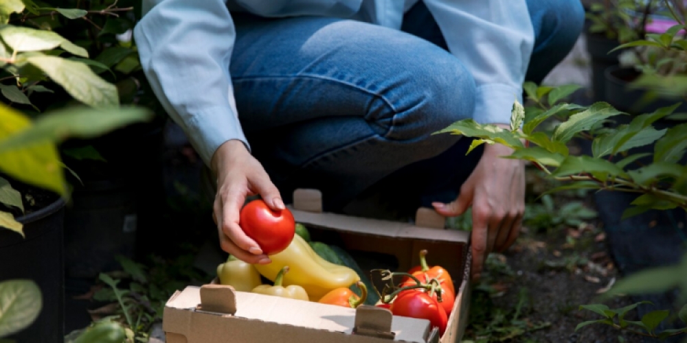 &Iota;&delta;&rho;ύ&theta;&eta;&kappa;&epsilon; &tau;&omicron; &Epsilon;&upsilon;&rho;&omega;&pi;&alpha;ϊ&kappa;ό &Sigma;&upsilon;&mu;&beta;&omicron;ύ&lambda;&iota;&omicron; &Gamma;&epsilon;&omega;&rho;&gamma;ί&alpha;&sigmaf; &kappa;&alpha;&iota; &Tau;&rho;&omicron;&phi;ί&mu;&omega;&nu;