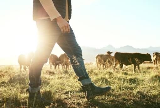 Αλλαγές στην Κτηνοτροφία: Τι σημαίνουν για την Ελλάδα