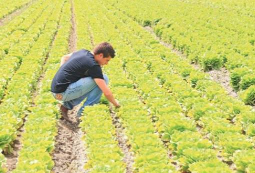 Το δικό σας σχόλιο: «Αγανάκτησαν οι επιλαχόντες νέοι αγρότες»