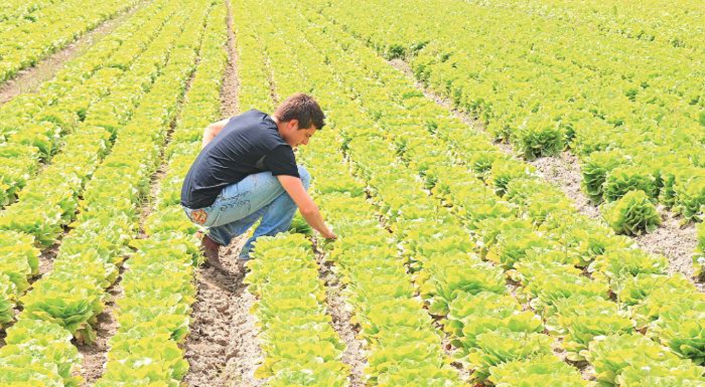 &Tau;&omicron; &delta;&iota;&kappa;ό &sigma;&alpha;&sigmaf; &sigma;&chi;ό&lambda;&iota;&omicron;: &laquo;&Alpha;&gamma;&alpha;&nu;ά&kappa;&tau;&eta;&sigma;&alpha;&nu; &omicron;&iota; &epsilon;&pi;&iota;&lambda;&alpha;&chi;ό&nu;&tau;&epsilon;&sigmaf; &nu;έ&omicron;&iota; &alpha;&gamma;&rho;ό&tau;&epsilon;&sigmaf;&raquo;