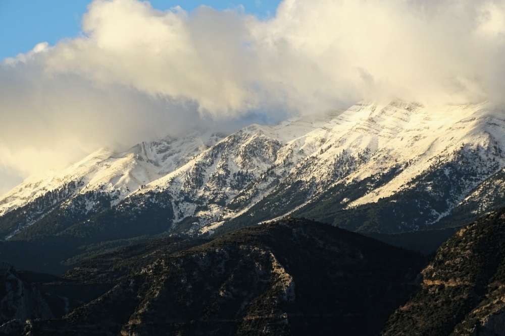 Έ&beta;&alpha;&lambda;&epsilon; &tau;&omicron; &lambda;&epsilon;&upsilon;&kappa;ό &laquo;&pi;&alpha;&nu;&omega;&phi;ό&rho;&iota;&raquo; &kappa;&iota; &alpha;&gamma;&nu;&alpha;&nu;&tau;&epsilon;ύ&epsilon;&iota; &chi;&epsilon;&iota;&mu;ώ&nu;&alpha; &omicron; &Tau;&alpha;ΰ&gamma;&epsilon;&tau;&omicron;&sigmaf;