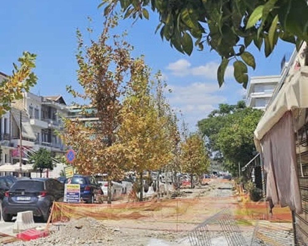 &laquo;&Tau;&alpha; &pi;&lambda;&alpha;&tau;ά&nu;&iota;&alpha;&hellip; &tau;&eta;&sigmaf; &Kappa;. &Pi;&alpha;&lambda;&alpha;&iota;&omicron;&lambda;ό&gamma;&omicron;&upsilon;&raquo;