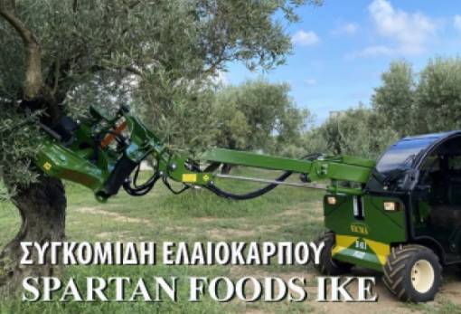 Υπηρεσίες συγκομιδής ελαιοκάρπου από την SPARTAN FOODS IKE
