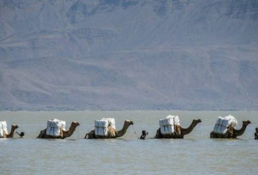 Ένας νέος ωκεανός «γεννάται» στην Αιθιοπία