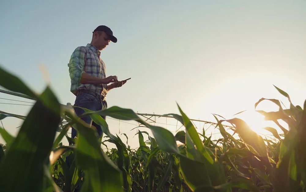 &Tau;&omicron; 2024 &tau;&omicron; &pi;&rho;ό&gamma;&rho;&alpha;&mu;&mu;&alpha; &gamma;&iota;&alpha; &nu;έ&omicron;&upsilon;&sigmaf; &Alpha;&gamma;&rho;ό&tau;&epsilon;&sigmaf;