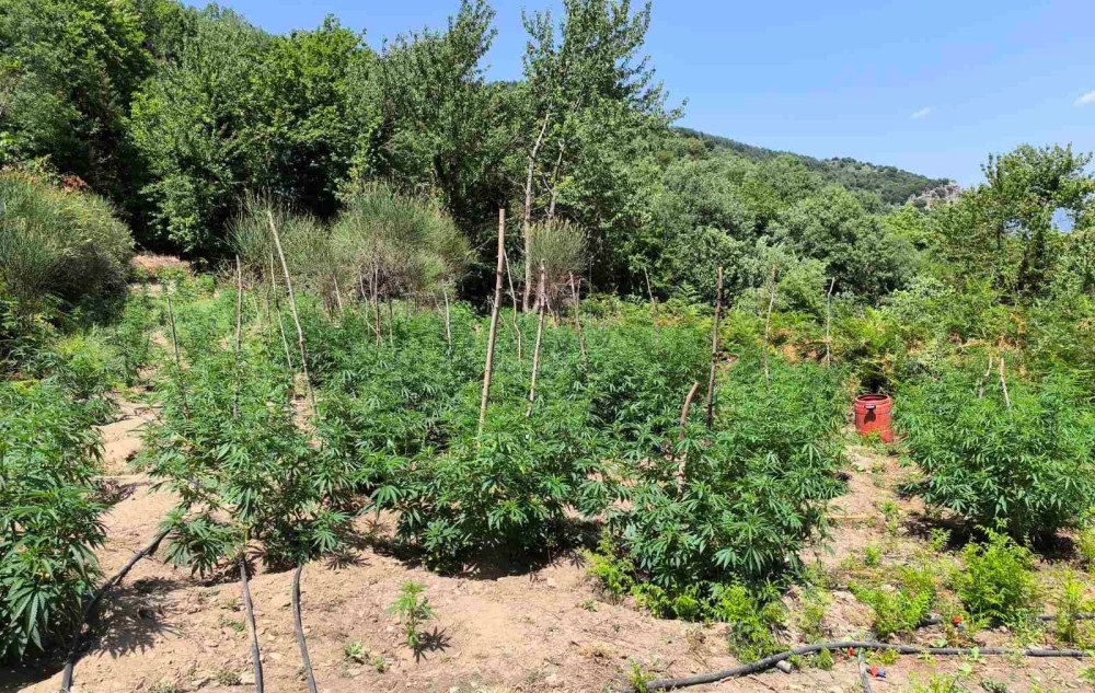 &laquo;&Chi;&tau;ύ&pi;&eta;&mu;&alpha;&raquo; 3,6 &epsilon;&kappa;&alpha;&tau;. &epsilon;&upsilon;&rho;ώ &tau;&eta;&sigmaf; &Epsilon;&Lambda;.&Alpha;&Sigma;: &Phi;&upsilon;&tau;&epsilon;ί&alpha; &laquo;&mu;&alpha;&mu;&omicron;ύ&theta;&raquo; &xi;&epsilon;&rho;&iota;&zeta;ώ&theta;&eta;&kappa;&epsilon; &sigma;&tau;&omicron; &Gamma;&epsilon;&omega;&rho;&gamma;ί&tau;&sigma;&iota;