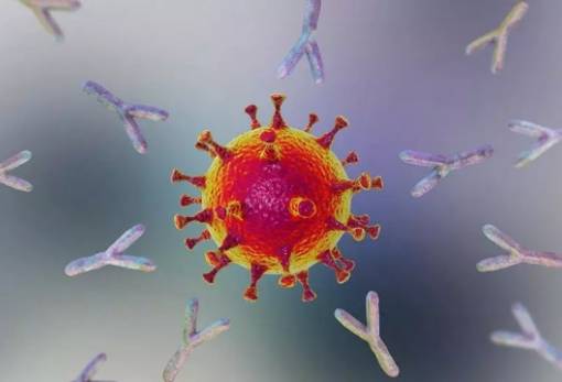 Πόσο αποτελεσματικά είναι τα μονοκλωνικά αντισώματα έναντι της Όμικρον; Τι δείχνουν μελέτες