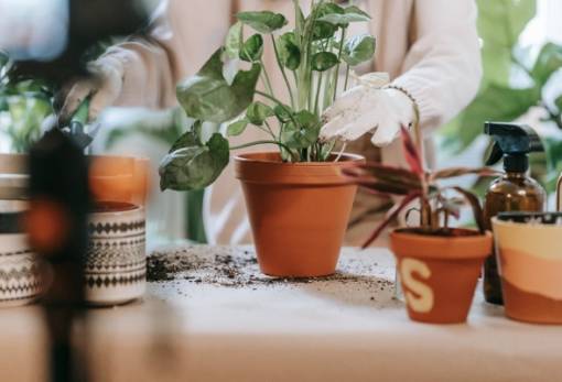 Φυτά: Το φυσικό λίπασμα που «κρύβεται» στο ψυγείο σου