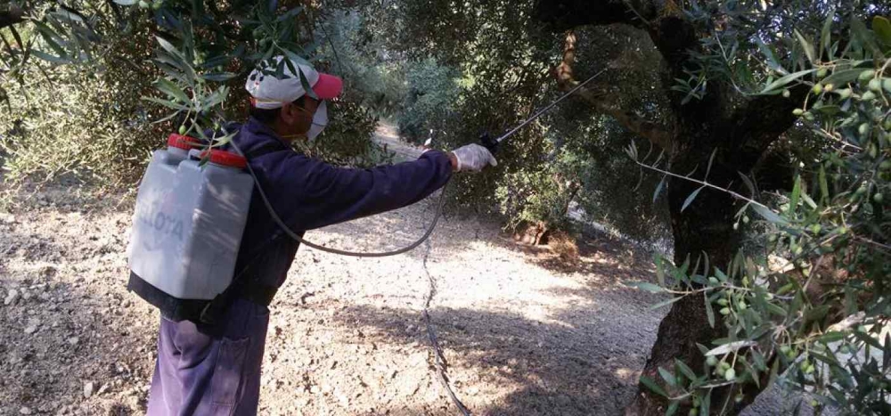 &Sigma;&epsilon; &epsilon;&xi;έ&lambda;&iota;&xi;&eta; &psi;&epsilon;&kappa;&alpha;&sigma;&mu;&omicron;ί &delta;&alpha;&kappa;&omicron;&kappa;&tau;&omicron;&nu;ί&alpha;&sigmaf; &sigma;&tau;&omicron; &Delta;&alpha;&phi;&nu;ί