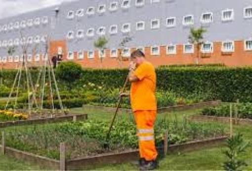 Όσα περισσότερα φυτά έχει μία φυλακή, τόσο χαμηλότερα τα επίπεδα βίας