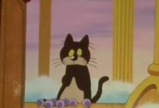 Η γάτα με την κομμένη ουρά