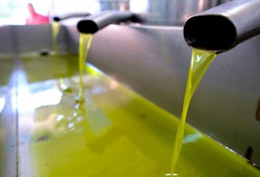 Έπεσε η τιμή του ελαιολάδου στη Λακωνία
