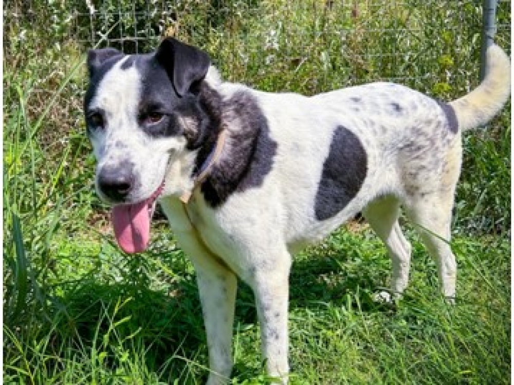 &Gamma;&nu;&omega;&rho;&iota;&mu;ί&alpha; &mu;&epsilon; &tau;&omicron;&nu; &laquo;&Beta;ί&kappa;&omicron;&raquo;