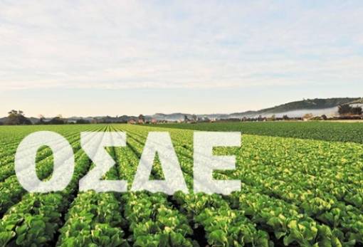 Παράταση στις δηλώσεις ΟΣΔΕ λόγω καθυστερήσεων και τεχνικών δυσκολιών