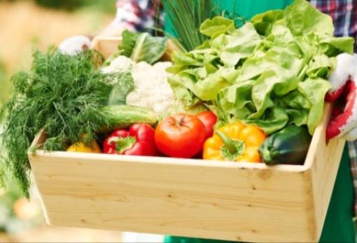 Αγροτικά προϊόντα: Πλεόνασμα 575 εκατ. ευρώ στις εξαγωγές το α’ τετράμηνο του 2023