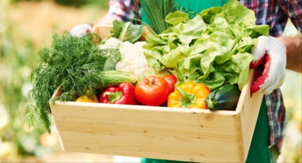 &Alpha;&gamma;&rho;&omicron;&tau;&iota;&kappa;ά &pi;&rho;&omicron;ϊό&nu;&tau;&alpha;: &Pi;&lambda;&epsilon;ό&nu;&alpha;&sigma;&mu;&alpha; 575 &epsilon;&kappa;&alpha;&tau;. &epsilon;&upsilon;&rho;ώ &sigma;&tau;&iota;&sigmaf; &epsilon;&xi;&alpha;&gamma;&omega;&gamma;έ&sigmaf; &tau;&omicron; &alpha;&rsquo; &tau;&epsilon;&tau;&rho;ά&mu;&eta;&nu;&omicron; &tau;&omicron;&upsilon; 2023