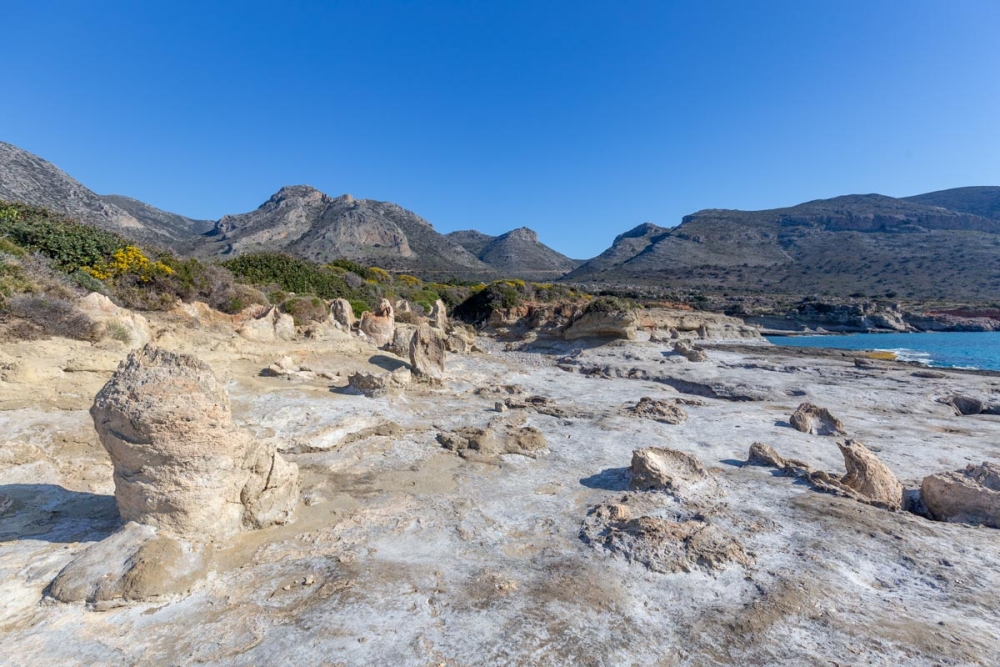 &Sigma;&alpha;&nu; &pi;&alpha;&sigmaf; &sigma;&tau;&eta;&nu; &Epsilon;&lambda;&alpha;&phi;ό&nu;&eta;&sigma;&omicron;... &Mu;&eta;&nu; &pi;&alpha;&rho;&alpha;&lambda;&epsilon;ί&psi;&epsilon;&iota;&sigmaf; &nu;&alpha; &epsilon;&pi;&iota;&sigma;&kappa;&epsilon;&phi;&tau;&epsilon;ί&sigmaf; &tau;&omicron; &pi;&alpha;&rho;ά&kappa;&tau;&iota;&omicron; &alpha;&pi;&omicron;&lambda;&iota;&theta;&omega;&mu;έ&nu;&omicron; &Phi;&omicron;&iota;&nu;&iota;&kappa;ό&delta;&alpha;&sigma;&omicron;&sigmaf;