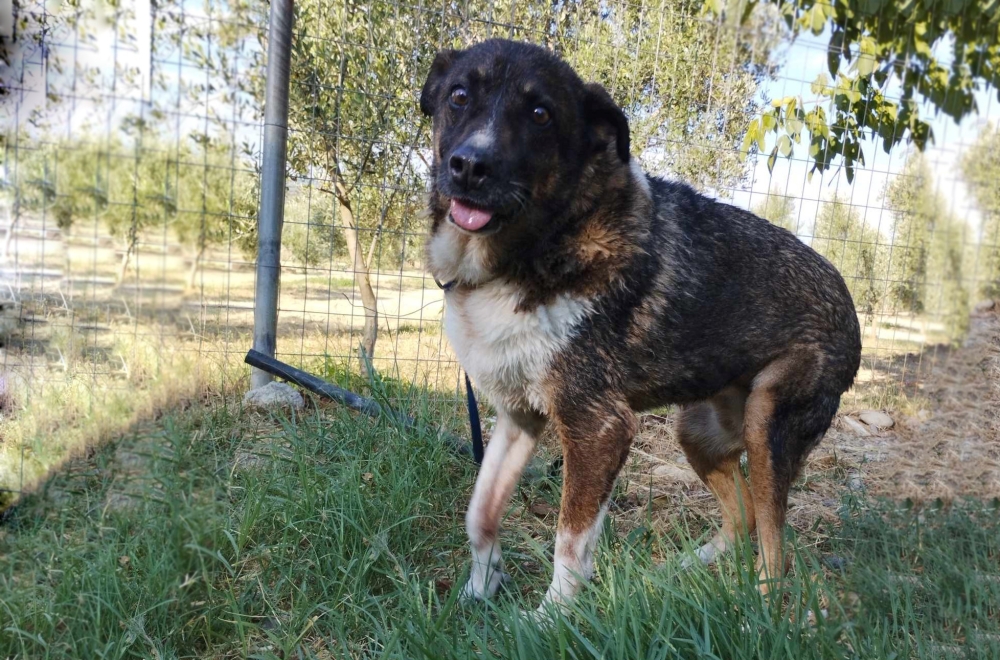 &Chi;&nu;&omicron;&upsilon;&delta;&omega;&tau;έ&sigmaf; &delta;&iota;&alpha;&delta;&rho;&omicron;&mu;έ&sigmaf;: &Alpha;&upsilon;&tau;ή &epsilon;ί&nu;&alpha;&iota; &eta; &Kappa;&alpha;&zeta;&alpha;&mu;&pi;&lambda;ά&nu;&kappa;&alpha;!