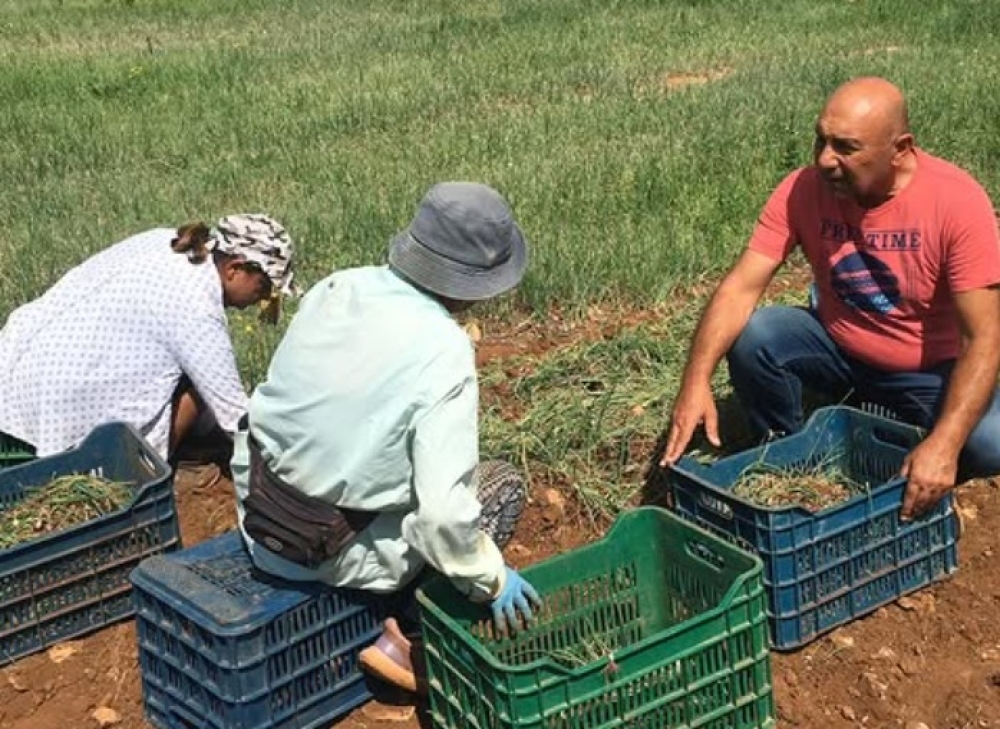 &Omicron;&rho;&gamma;ώ&nu;&epsilon;&iota;&hellip; &tau;&eta; &Lambda;&alpha;&kappa;&omega;&nu;ί&alpha;!