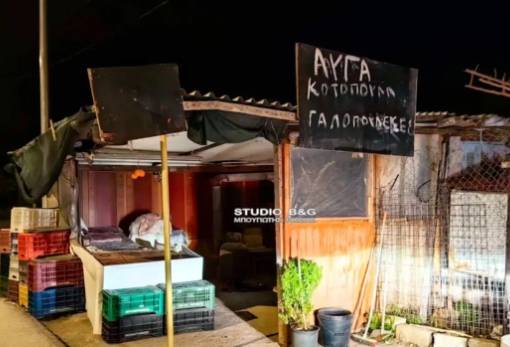 72χρονη σκότωσε τον ληστή της με μια μαχαιριά στο στήθος