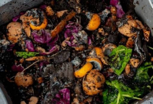 Σπατάλη τροφίμων: μια οικολογικών διαστάσεων καταστροφή