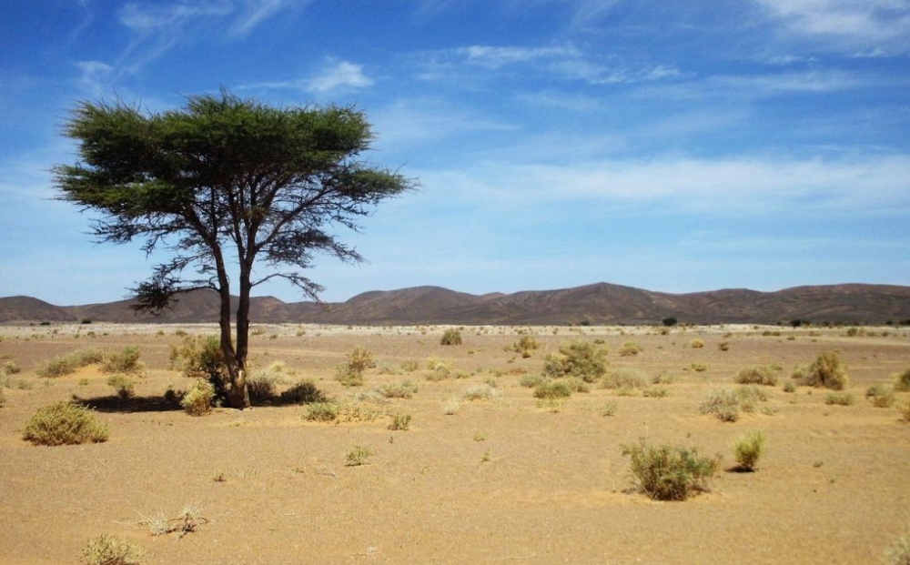 &Kappa;&alpha;&tau;&alpha;&mu;&epsilon;&tau;&rho;ώ&nu;&tau;&alpha;&sigmaf; ό&lambda;&alpha; &tau;&alpha; &delta;έ&nu;&tau;&rho;&alpha; &tau;&omicron;&upsilon; &kappa;ό&sigma;&mu;&omicron;&upsilon;