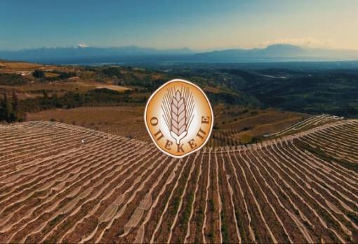 ΟΠΕΚΕΠΕ: Αλλαγή Διοίκησης