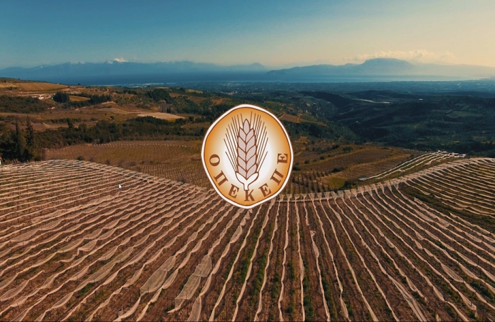 &Omicron;&Pi;&Epsilon;&Kappa;&Epsilon;&Pi;&Epsilon;: &Alpha;&lambda;&lambda;&alpha;&gamma;ή &Delta;&iota;&omicron;ί&kappa;&eta;&sigma;&eta;&sigmaf;