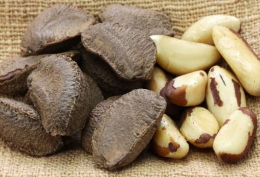 Ο εξωτικός ξηρός καρπός που πρέπει να τρως κάθε μέρα