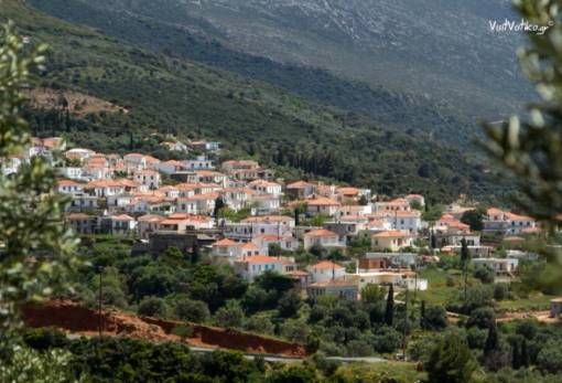 «Άγρια χλωρίδα και πανίδα του τόπου μας» στον Άγιο Νικόλαο Βοιών