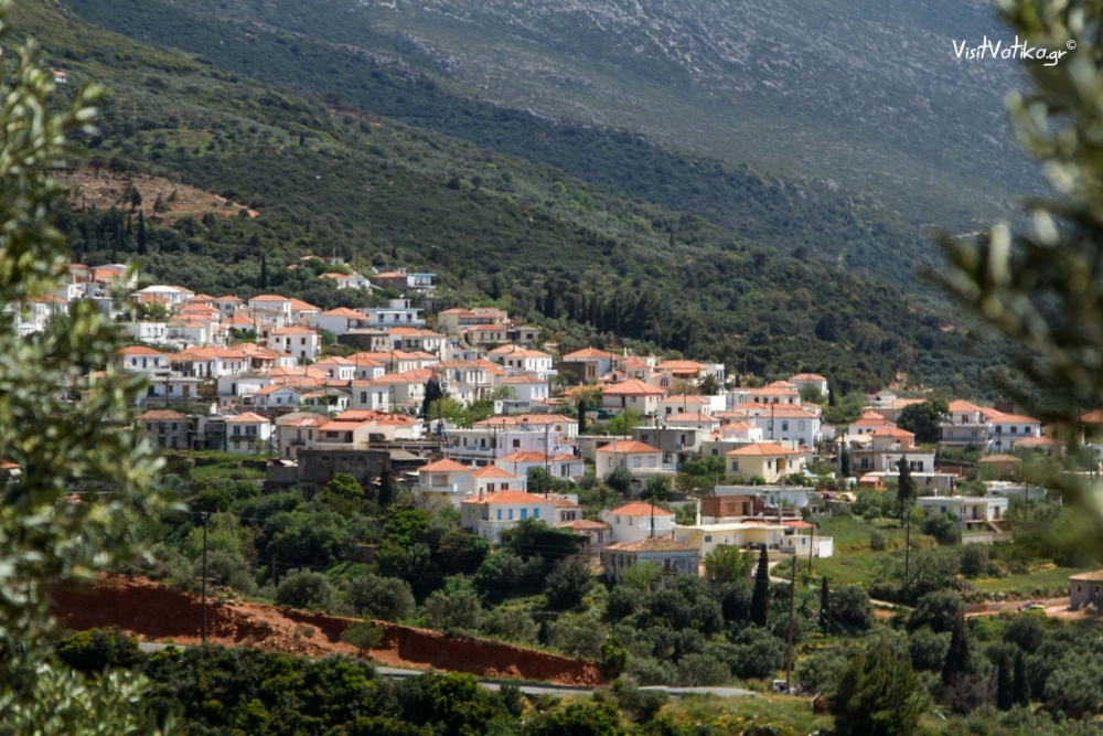 &laquo;Ά&gamma;&rho;&iota;&alpha; &chi;&lambda;&omega;&rho;ί&delta;&alpha; &kappa;&alpha;&iota; &pi;&alpha;&nu;ί&delta;&alpha; &tau;&omicron;&upsilon; &tau;ό&pi;&omicron;&upsilon; &mu;&alpha;&sigmaf;&raquo; &sigma;&tau;&omicron;&nu; Ά&gamma;&iota;&omicron; &Nu;&iota;&kappa;ό&lambda;&alpha;&omicron; &Beta;&omicron;&iota;ώ&nu;