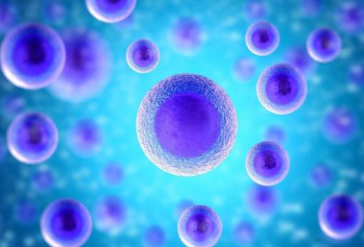 Η τεχνητή νοημοσύνη προβλέπει την ανταπόκριση του οργανισμού στη θεραπεία κατά του καρκίνου