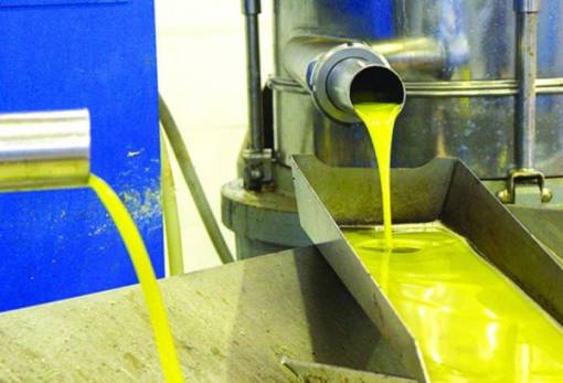 Μέχρι 8,7 ευρώ το ελαιόλαδο  στη Λακωνία