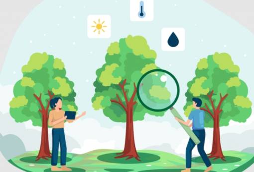 Καινοτόμο εργαλείο για την προστασία των εσπεριδοειδών από τον παγετό παρουσιάζεται στη Σπάρτη