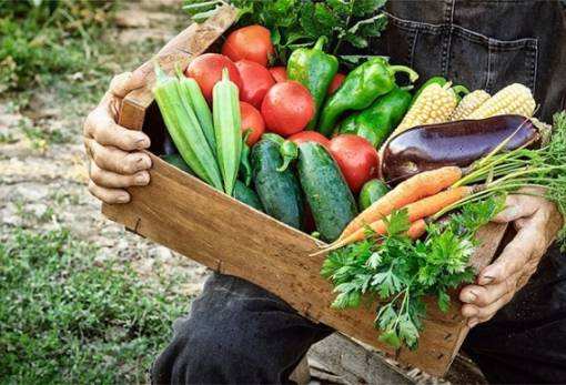 ΕΕ: Πλεονασματικό το εμπόριο αγροτικών  προϊόντων το πρώτο εξάμηνο του 2024