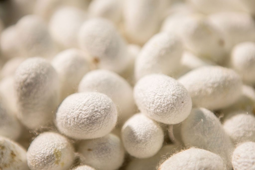 &Eta; &Lambda;&alpha;&kappa;&omega;&nu;ί&alpha; &sigma;&tau;&omicron;&nu; &laquo;&delta;&rho;ό&mu;&omicron;&raquo; &tau;&omicron;&upsilon; &mu;&epsilon;&tau;&alpha;&xi;&iota;&omicron;ύ