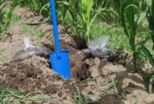 Παρουσιάζεται στη Σπάρτη το έργο «LandEval»