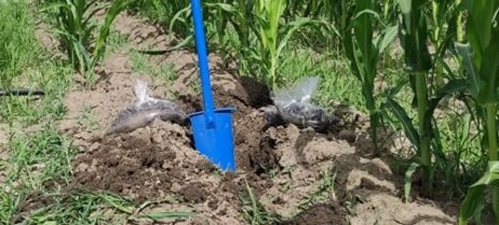 &Pi;&alpha;&rho;&omicron;&upsilon;&sigma;&iota;ά&zeta;&epsilon;&tau;&alpha;&iota; &sigma;&tau;&eta; &Sigma;&pi;ά&rho;&tau;&eta; &tau;&omicron; έ&rho;&gamma;&omicron; &laquo;LandEval&raquo;