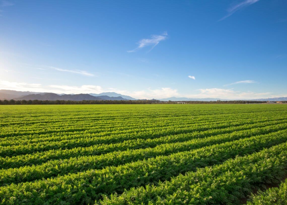&Mu;&epsilon; &pi;&rho;&omicron;ϋ&pi;&omicron;&lambda;&omicron;&gamma;&iota;&sigma;&mu;ό 60 &epsilon;&kappa;&alpha;&tau;. &epsilon;&upsilon;&rho;ώ &xi;&epsilon;&kappa;&iota;&nu;ά &tau;&eta;&nu; &epsilon;&phi;&alpha;&rho;&mu;&omicron;&gamma;ή &tau;&omicron;&upsilon; &tau;&omicron; &pi;&rho;ό&gamma;&rho;&alpha;&mu;&mu;&alpha; &laquo;&Kappa;&omicron;&mu;&phi;&omicron;ύ&zeta;&iota;&omicron;&raquo;
