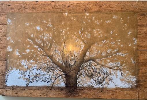 H Παγκόσμια Ημέρα Ελαιόδεντρου εορτάζεται στο Μουσείο Ελιάς και Ελληνικού Λαδιού