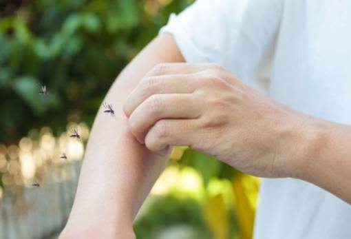 ΕΟΔΥ: Προφυλαχθείτε από τα κουνούπια και από τον ιό του Δυτικού Νείλου