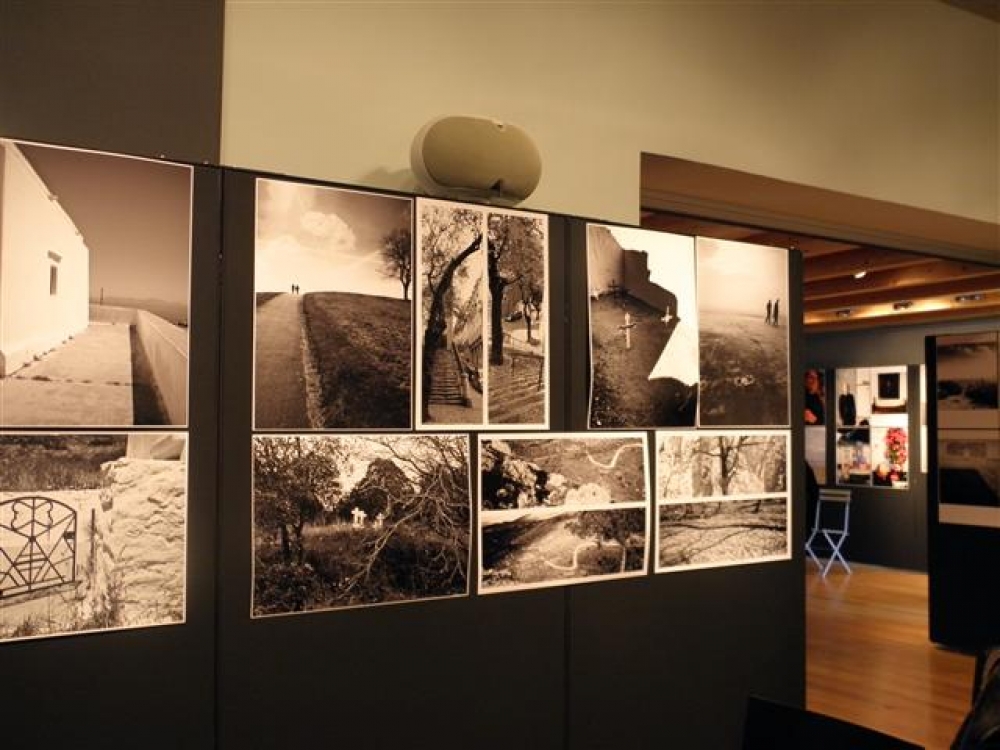 &Sigma;&epsilon;&mu;&iota;&nu;ά&rho;&iota;&omicron; &phi;&omega;&tau;&omicron;&gamma;&rho;&alpha;&phi;ί&alpha;&sigmaf; &tau;&omicron;&upsilon; &Pi;. &Rho;&iota;&beta;έ&lambda;&lambda;&eta; &sigma;&tau;&omicron; &Mu;&omicron;&upsilon;&sigma;&epsilon;ί&omicron; &Epsilon;&lambda;&iota;ά&sigmaf; &kappa;&alpha;&iota; &Lambda;&alpha;&delta;&iota;&omicron;ύ