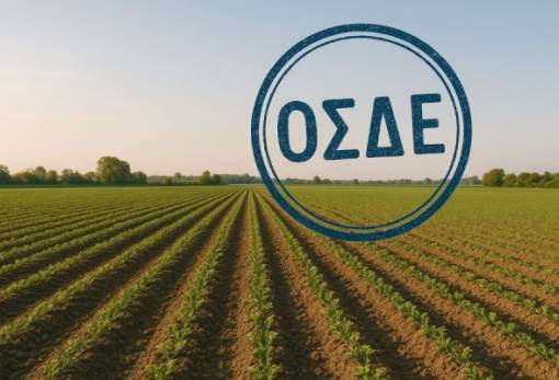 Παράταση έως 20 Αυγούστου για το ΟΣΔΕ 2025