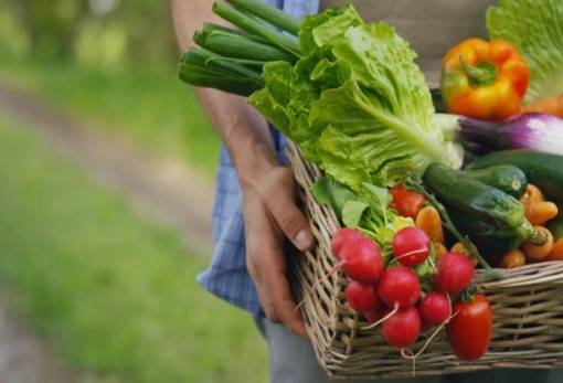 Eurostat: Μείωση τιμών για τα αγροτικά προϊόντα στην ΕΕ