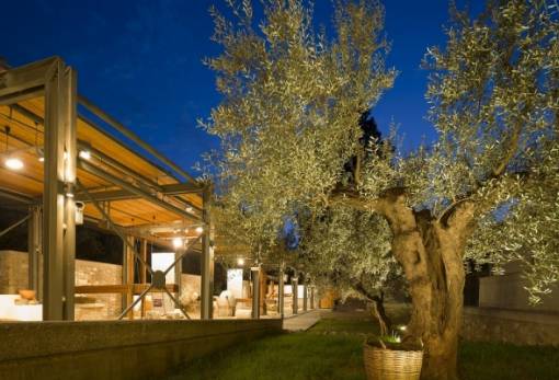 «Μουσικές του κόσμου και του χρόνου» στο Μουσείο Ελιάς & Λαδιού