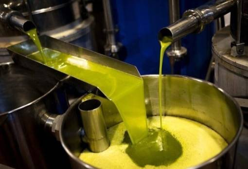 Ρευστή η αγορά του ελαιολάδου στη Λακωνία