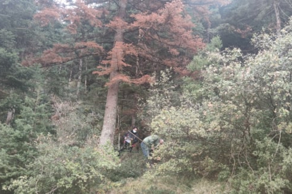 SOS &gamma;&iota;&alpha; &tau;&omicron; &epsilon;&lambda;&alpha;&tau;&omicron;&delta;ά&sigma;&omicron;&sigmaf; &tau;&omicron;&upsilon; &Pi;ά&rho;&nu;&omega;&nu;&alpha;