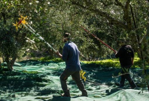 Χρηματοδότηση για νέους αγρότες της Πελοποννήσου