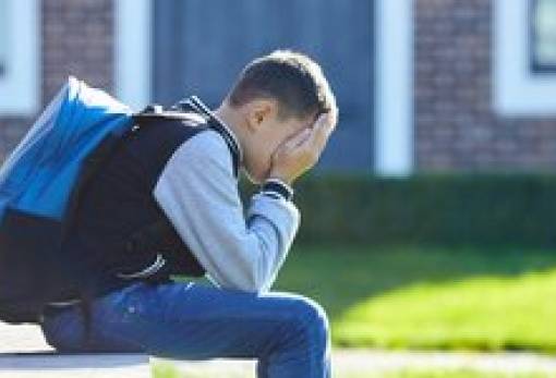 Εκδήλωση στο 1ο Δημοτικό Σπάρτης  για ενδοσχολικό εκφοβισμό-ενδοοικογενειακή βία